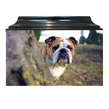 Custom Pet Fiberglass Box Cremation Urn